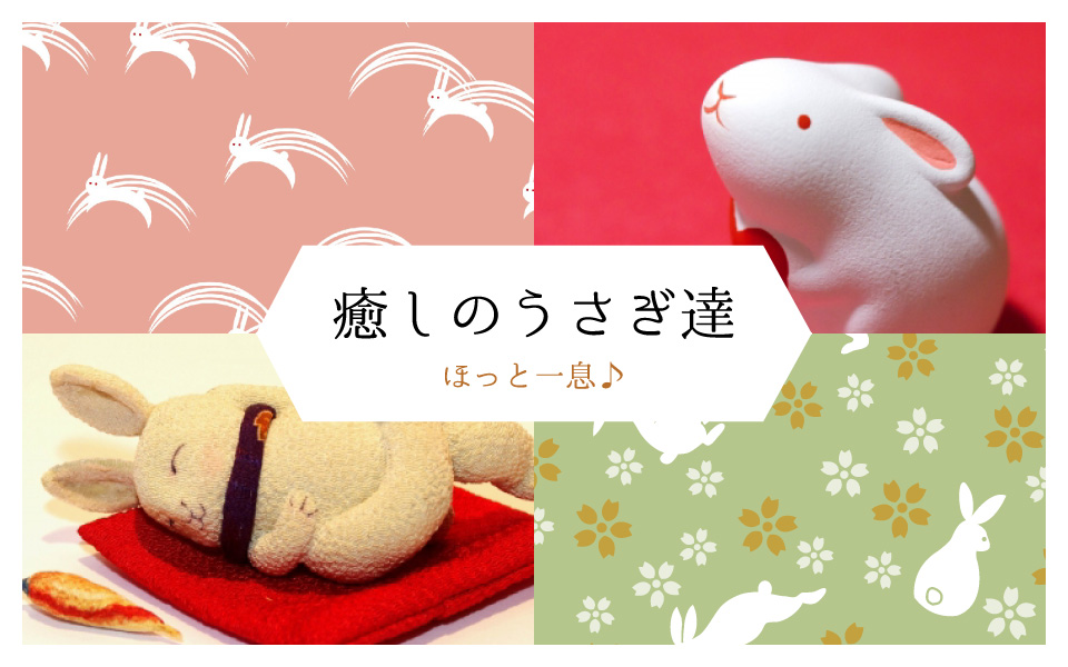 癒しのうさぎ達